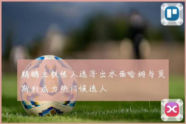 鹈鹕主教练人选浮出水面哈姆与莫斯利成为热门候选人